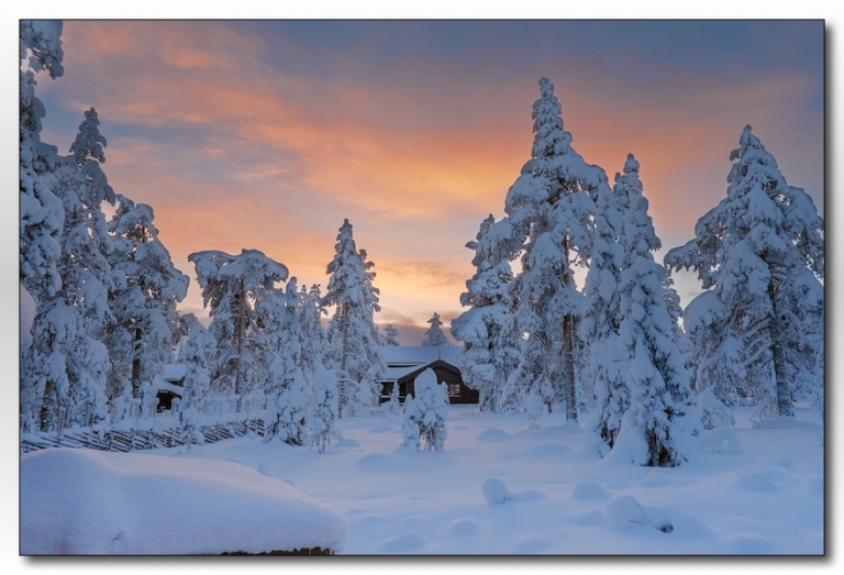 Sunrise above the pines - Norway 2016-023. Norway - great winter wedding photography location 