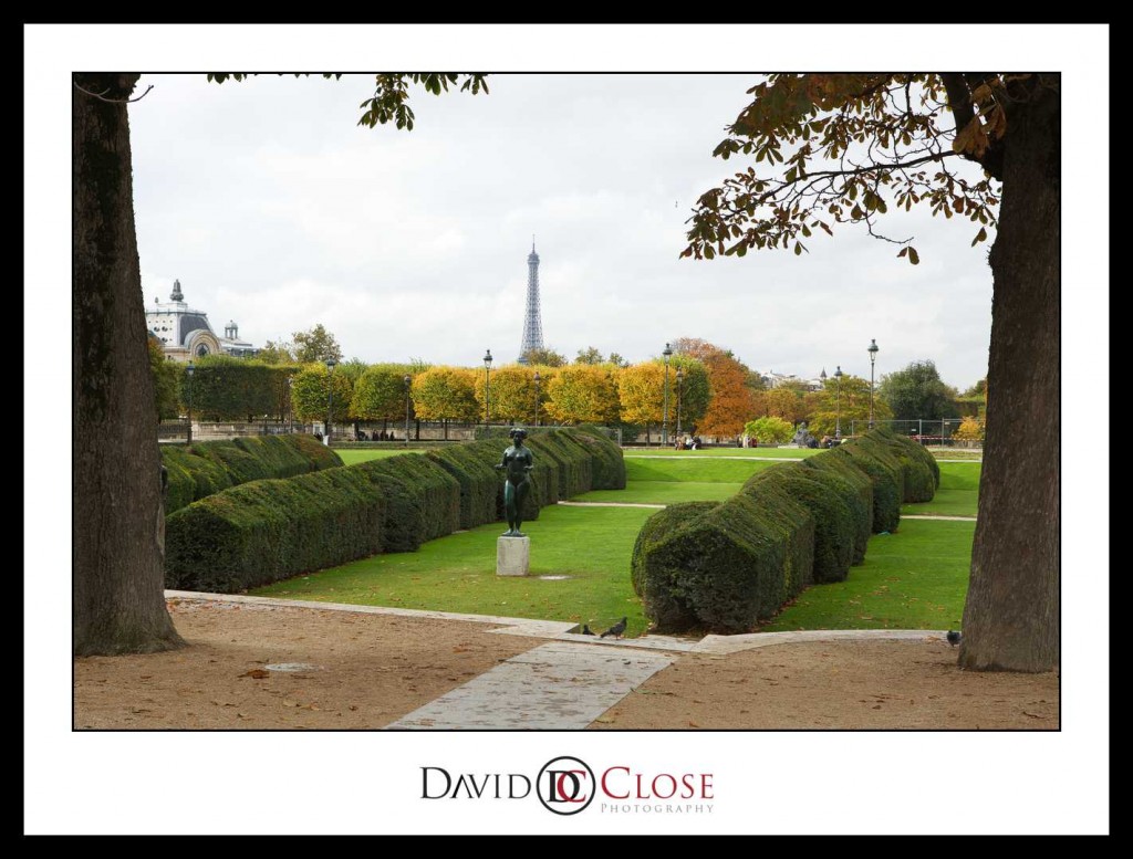 Eiffel Tower from Jardin des Tuileries, Paris, France by David Close Photography